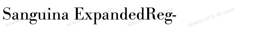 Sanguina ExpandedReg字体转换